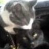 Lisa and Jynx