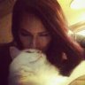 Kitty Bunch