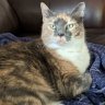 Stormy AKA Pretty