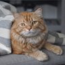 Butter's Mom