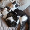 Snuggles and Danny