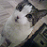 ObieAndMe