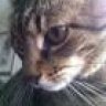 Charley