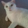 Caryn and Powder