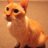 SunCat