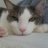 Heather_Mr.Tubs(GA)