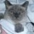 Laurie_McGee