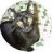 Kays8cats