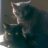 Steve and Blue