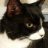 tibbs5