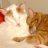 Sorin & Loki
