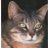 mybuddybinks