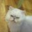 Kathy&Powder