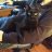 Pixelcatz