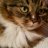 fluffles5178