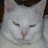 Sarah_and_Moggy