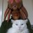 kittyinbath