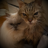 Catmumma