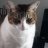 Sharron