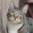 Tiggy's Mom