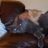 Bruce & Simon