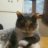 calliecat an marty