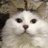 LovingErlend