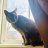 mom2CharlesTheMagnificent