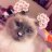 Meancat1117