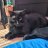 Kelly_Balti