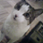 ObieAndMe