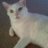 Caryn and Powder