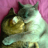 Caitlin & Mr. Kink