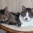 Linda and Scooter & Jack