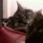 Dr Schrodinger