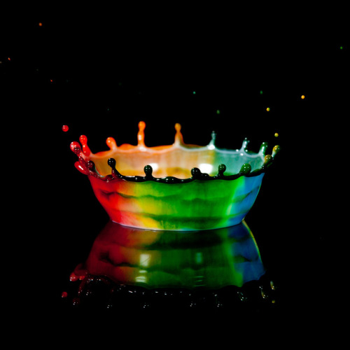 tumblr_lgdv78xHIJ1qac6sjo1_500.jpg