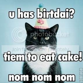 cat_birthday.jpg