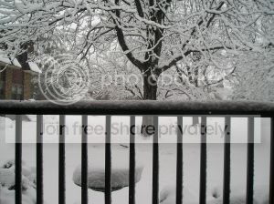 February3rd20141_zps0d2c315a.jpg