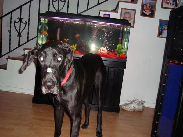 4556654504_861500cdaa_o.jpg