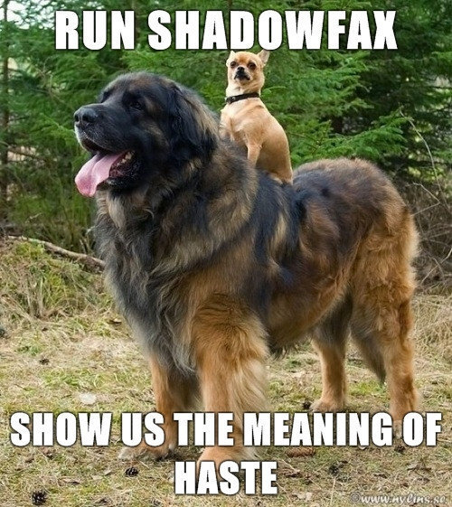shadowfax.jpg