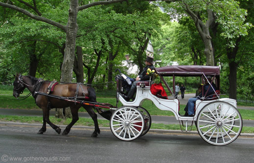 Central_park_horse_carriage.jpg