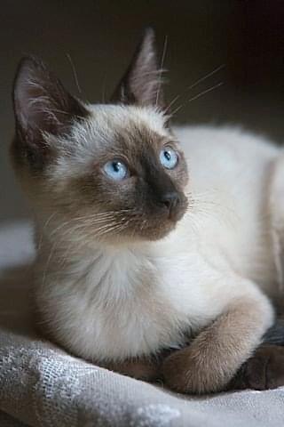 2f3e67c9-6952-450b-8864-72c33b354e66-jpeg.55844