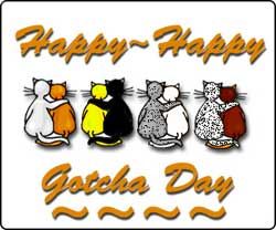gotchaday-250.jpg
