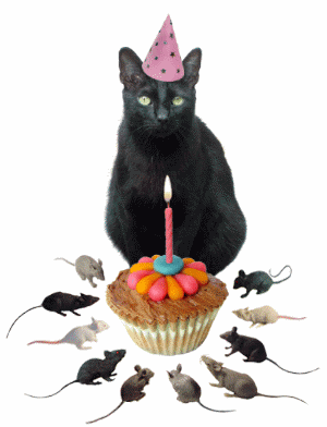 blackcat_bday.gif