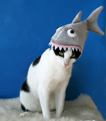 Shark1.jpg