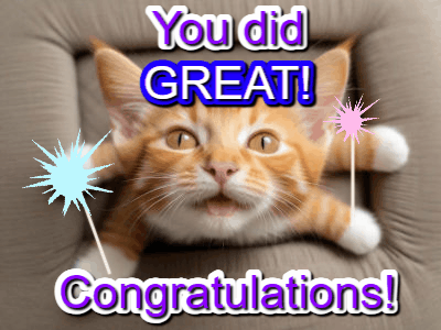 congratulations_gif-cat-kitten-cute__birthday-508.gif