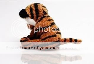 sadtiger.jpg