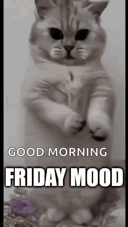 friday-end-of-the-week.gif