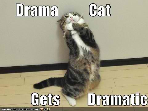 dramacat_zpse69a2333.jpg