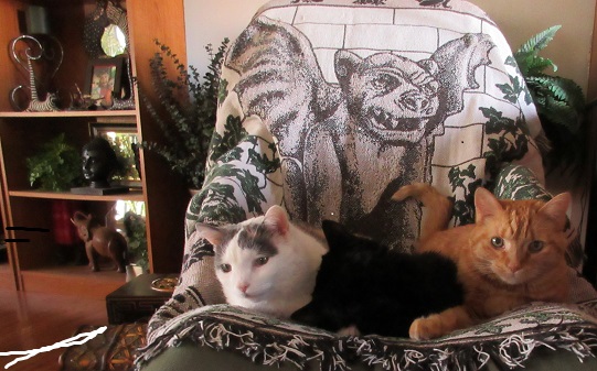 img_0096-1-jpg.44190